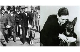 Kutyák a történelemben: Buddy, Amerika első vakvezető kutyája