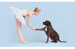 Balett-táncosok segítenek menhelyen élő kutyusoknak gazdira találni
