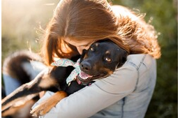 Bizalom – 6 jel, hogy a kutyád az életét is Rád bízná
