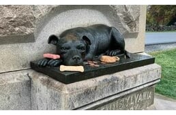 Kutyakekszeket és játékokat hagynak a látogatók a 150 éve elhunyt, hős kutya szobránál