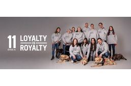 Adj szeretettel, ajándékozz jó ügyet, 11 éves a Dorko Loyalty is Royalty programja