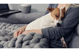 Édes a pihenés - Ezért fontos kutyáknál is a jó (sok) alvás