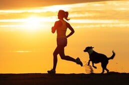 Edzés kutyával - 10 tipp, hogy mindkettőtök számára élvezetes legyen a testmozgás