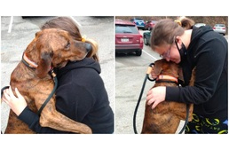 Egy menhelyi kutya nyugtatta meg a szorongásos rohammal küzdő lányt az utcán