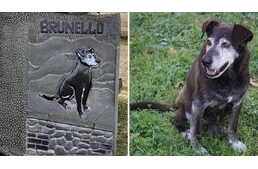 „Egy volt közülünk” – Emlékművet kapott a kóbor kutya, akit egy olasz kisváros fogadott örökbe