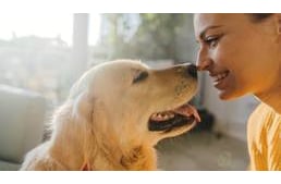Meglepő hasonlóságot mutat a kutya és az ember emésztőrendszere