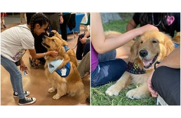 Érzelmi támogató kutyák segítenek feldolgozni az iskolai lövöldözés után a tragédiát