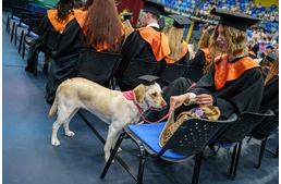 Egy segítőkutya is oklevelet kapott a MATE Kaposvári Campus diplomaosztóján