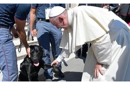 Ferenc pápa egy hős mentőkutyával találkozott