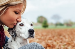 Hallásproblémák kutyáknál - 10 tipp a nyugodt mindennapokhoz