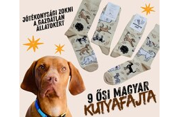 Meleg lábak, meleg szívek – jótékonysági zoknikkal az állatokért!