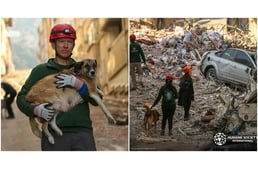 Hetekkel a pusztító földrengések után is mentik a bajba jutott állatokat Törökországban
