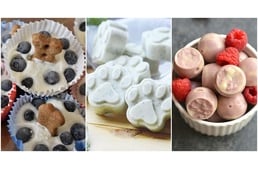 Hűsítő finomságok kutyáknak - 3 jeges recept a forró nyári napokra