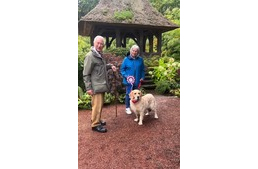 Egy golden retriever érdemelte ki a jubileumi szalagot