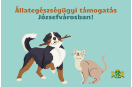 Állategészségügyi támogatási program indul Józsefvárosban