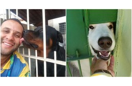 Méghogy a kutyák utálják a postásokat?! Egy brazil postás szívmelengető szelfikkel cáfolja a tévhitet