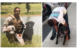 6 év után találkoztak újra az egykori bajtársak: a veterán és bombakereső kutyája