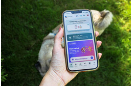 Egy elveszett kutya miatt készült a magyar app, ami közösséget épít az állatok biztonságáért 