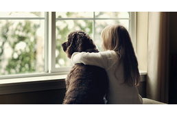 Mire észreveszed, már csípett – ezért fontos a megelőzés!