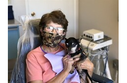 Csodálatos hatással bír a fogatlan, idős kutyus a fogászatra látogató páciensekre
