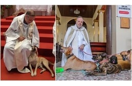 Kóbor kutyák örökbefogadására buzdít miséin a kutyabarát pap