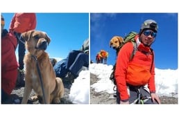 Mentőakció egy kutyáért, aki Mexikó legmagasabb hegyén ragadt - hátukon hozták le a kimerült ebet