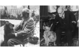Kutyák a történelemben: Sigmund Freud és Jofi, a csau csau
