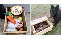 Kutyakönyvtár – Egy zseniális ötlet, aminek minden négylábú örülni fog