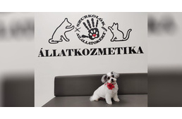 Megnyílt az első magyar nonstop, állatvédő kutyaszalon!