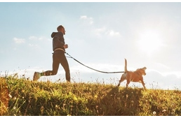 Kutyával futnál? Ez a 12 fajta rövid távon is remek futópartner lehet