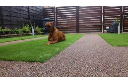 Szép udvar kutyával is - ezt nyújtja a Holland Pázsit
