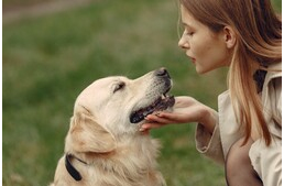 Meglepő kapcsolatot fedeztek fel a kutatók az emberek és kutyák agydaganatai között