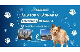 Idén is remek programok várnak az állatok világnapján