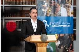 Folytatódik az állatvédő civil szervezetek támogatása: újabb 1 milliárd forintos pályázat jelent meg