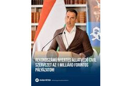Rekordszámú állatvédő civil szervezet nyert az egymilliárd forintos pályázaton