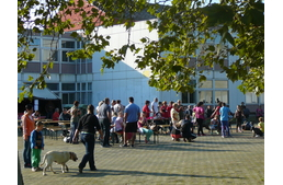 Szombathely: kutyákkal üdvözölték az őszt