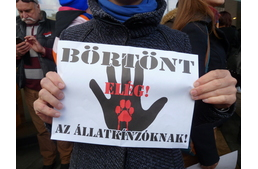 Vujity Tvrtko az állatvédelmi törvények szigorításáért kampányol
