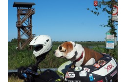 Kutya a motoron - Olaszország egy motoros és vagány kutyája szemével