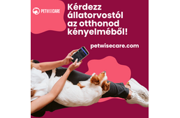 Állatorvosi segítség bárhol, bármikor - Elindult a magyar fejlesztésű PetWiseCare applikáció Állatorvosi segítség bárhol, bármikor - Elindult a magyar fejlesztésű PetWiseCare applikáció