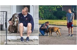 Rengetegen köszöntötték élete utolsó sétáján a daganatos kutyát