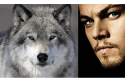 Leonardo DiCaprio az állatok és a természet védelméért