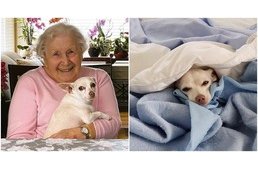 Senkinek sem kellett az öreg kutyus – mígnem egy 100 éves néni jelentkezett örökbefogadónak