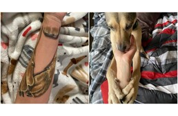 Szeretet egy ölelésben - Különleges tetoválás őrzi elhunyt kutyája emlékét