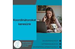 Koordinátorokat keres a Szilveszteri Állatmentő Ügyelet