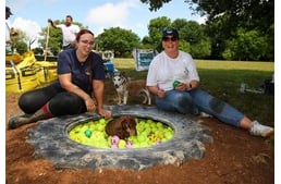 Szimatparkot és játszóteret építettek idős menhelyi kutyáknak a lottónyertesek