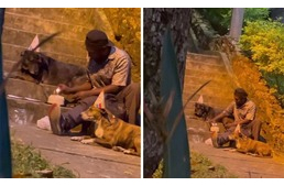 Szívmelengető, ahogy a hajléktalan férfi megünnepli kutyája születésnapját