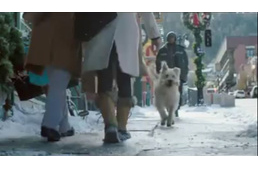 Ajándék a beteg kutyának - szívmelengető karácsonyi videó