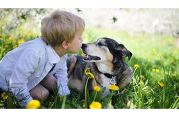 Bizonyított: egy kutya jelenléte nyugtató hatással bír a gyerekekre
