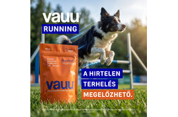 Tavaszi felkészítés: miért most kell elkezdeni a kutyák ízületvédelmét?