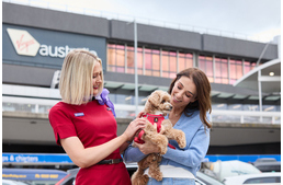 Olaszország után a Virgin Australia járatain is utazhatunk kutyával Olaszország után a Virgin Australia járatain is utazhatunk kutyával